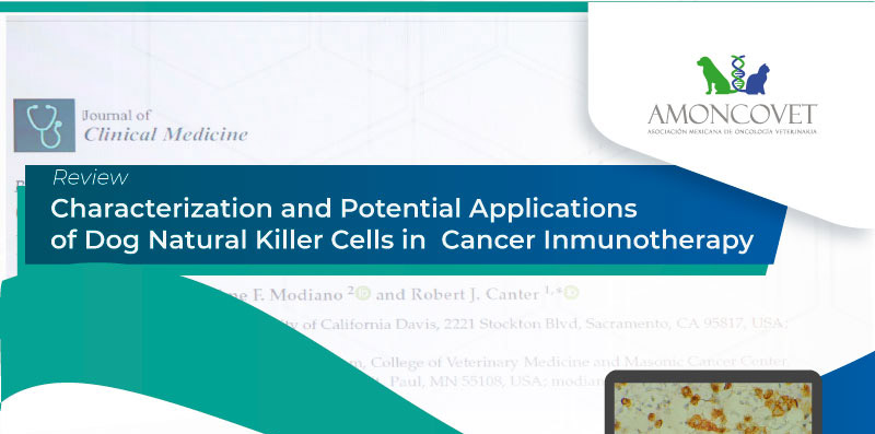 Characterization-and-Potential-Applications-of-Dog-Natural-Killer-Cells-in--Cancer-Inmunotherapy portada